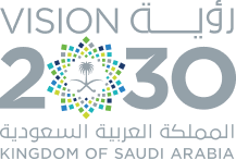 Vision 2030 Logo